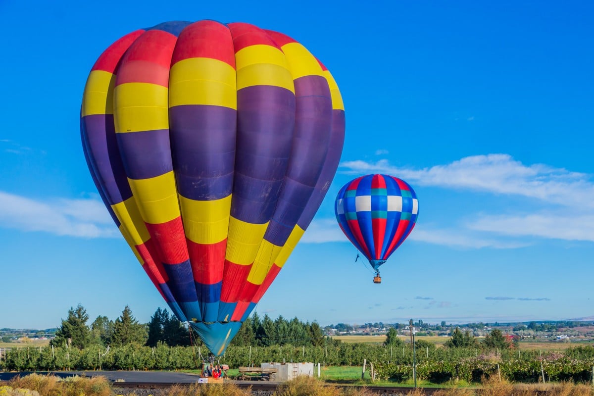 חדשות בחקלאות עמוד 21 מתוך 37 אגרונט